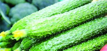 顶花带刺 黄瓜如何形成 能否食用 聚贸资讯